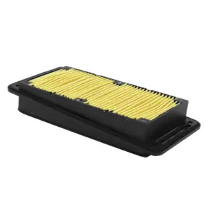 Filtre à air P2R