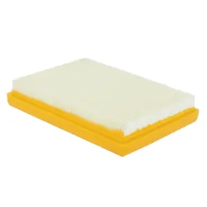 Filtre à air P2R