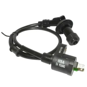 Bobine d'allumage P2R