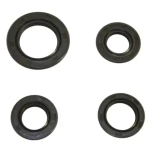 Joint spi moteur P2R