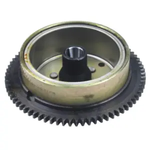 Rotor P2R