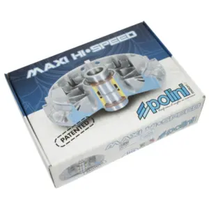 Variateur Polini