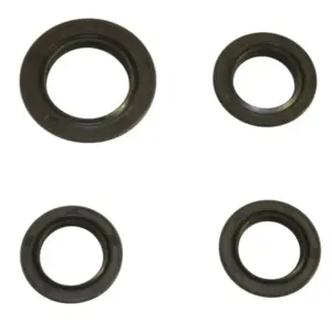 Joint spi moteur P2R