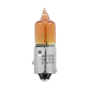 Ampoule Flosser