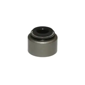 Joint guide de soupapes P2R
