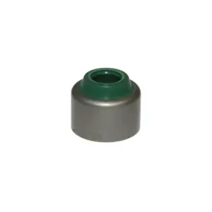 Joint guide de soupapes P2R
