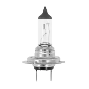 Ampoule Flosser
