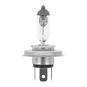Ampoule Flosser