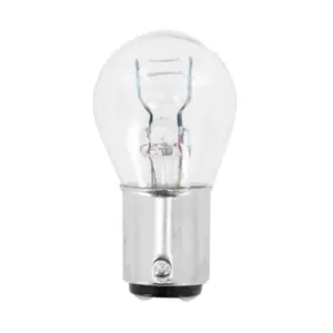 Ampoule Flosser