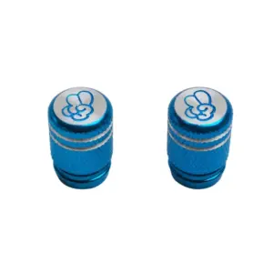 Bouchon de valve Vicma