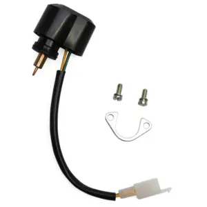 Starter électrique P2R