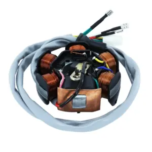 Stator P2R